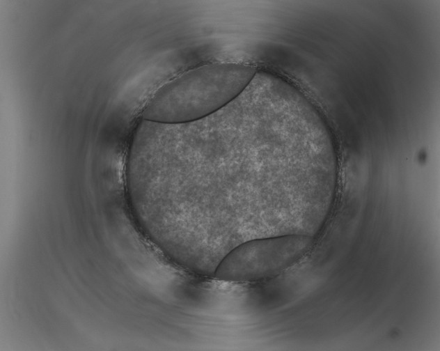 X0000115280117200912111235