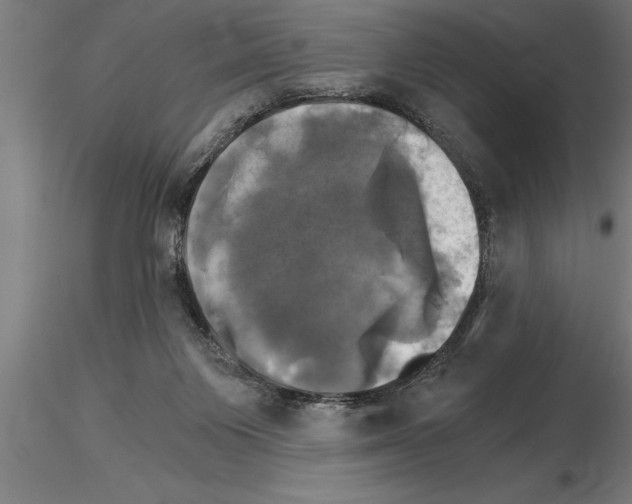 X0000115280119200912111235