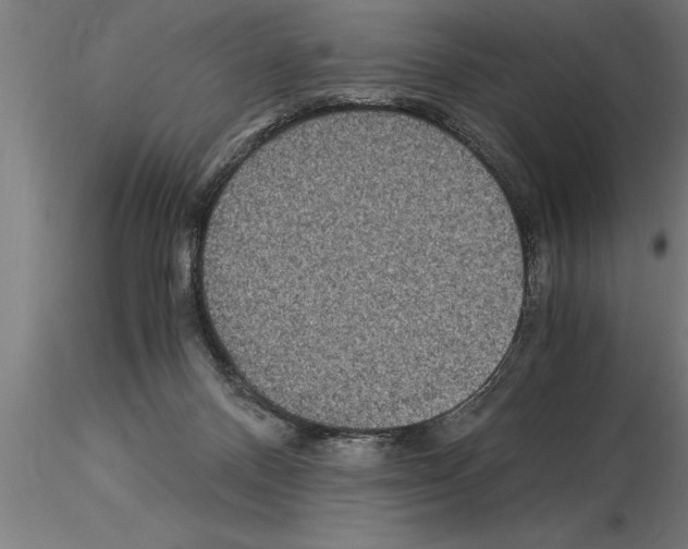 X0000115280120200912111235