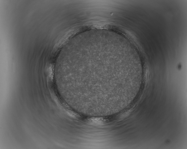 X0000115280121200912111235