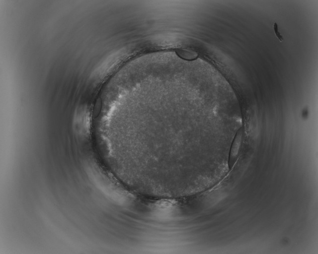 X0000115280124200912111235