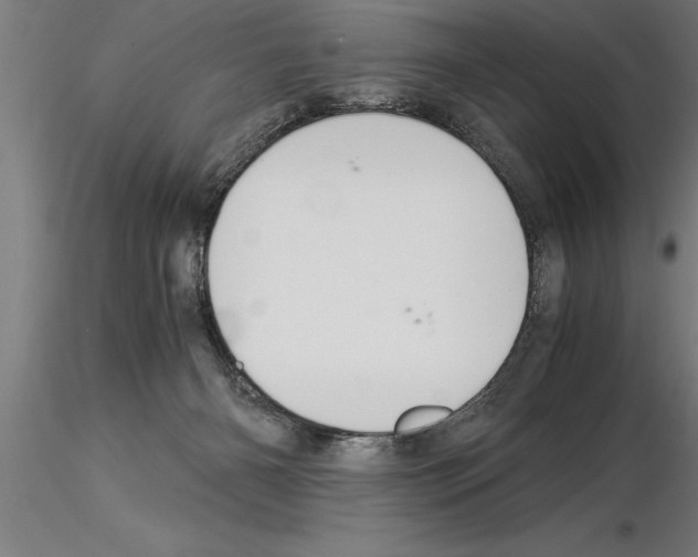 X0000115280126200912111235