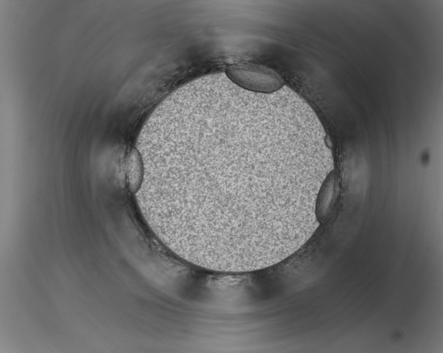 X0000115280129200912111235