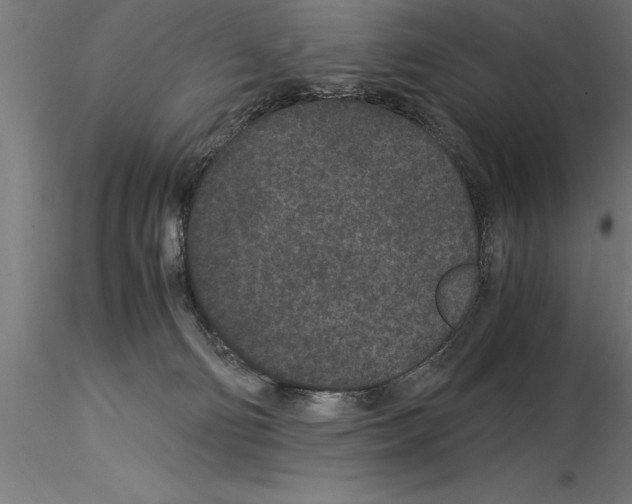 X0000115280130200912111235