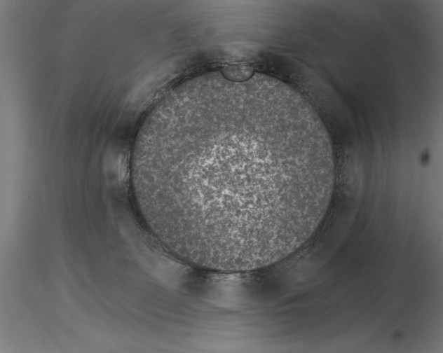 X0000115280131200912111235