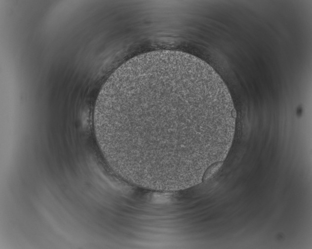 X0000115280134200912111235