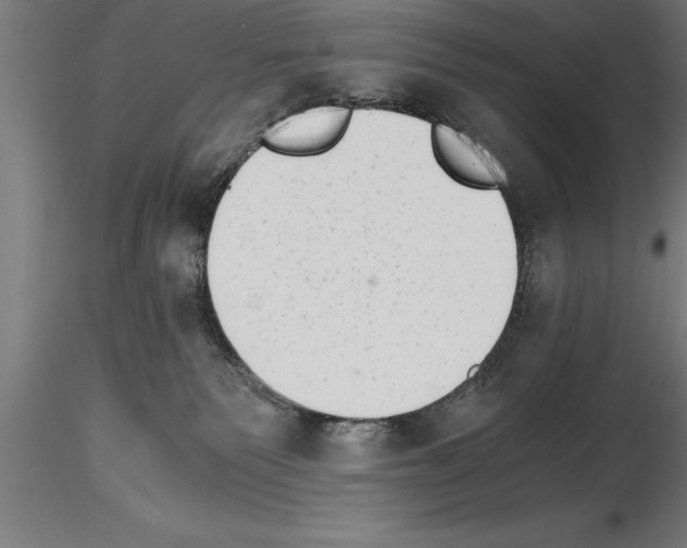 X0000115280135200912111235