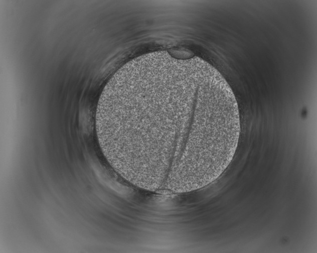 X0000115280136200912111235