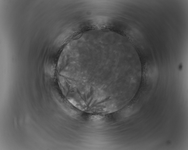 X0000115280139200912111235