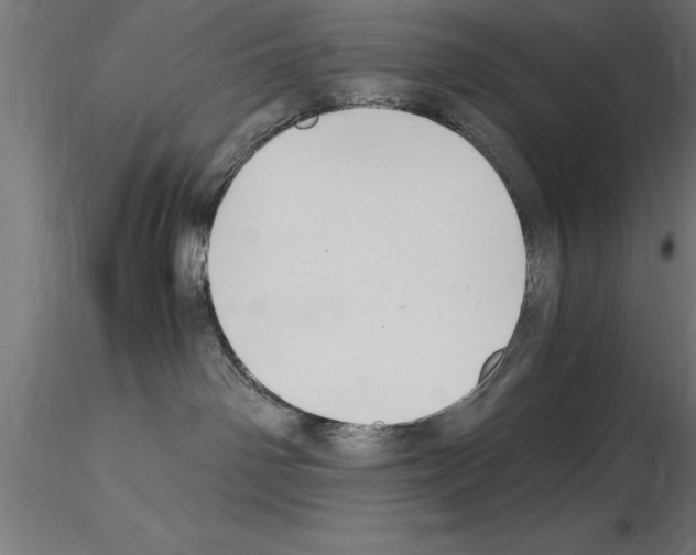 X0000115280142200912111235