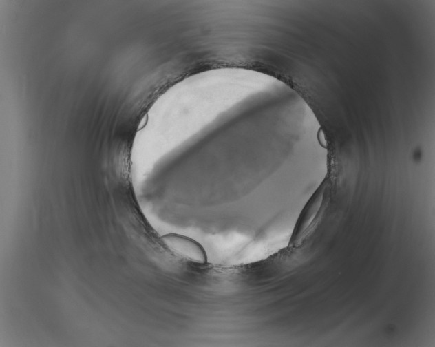 X0000115280143200912111235