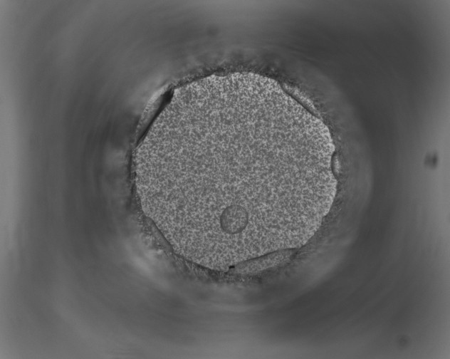 X0000115280144200912111235