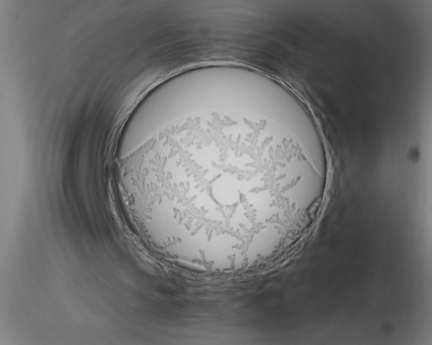 X0000115280145200912111234