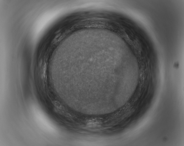 X0000115280146200912111234