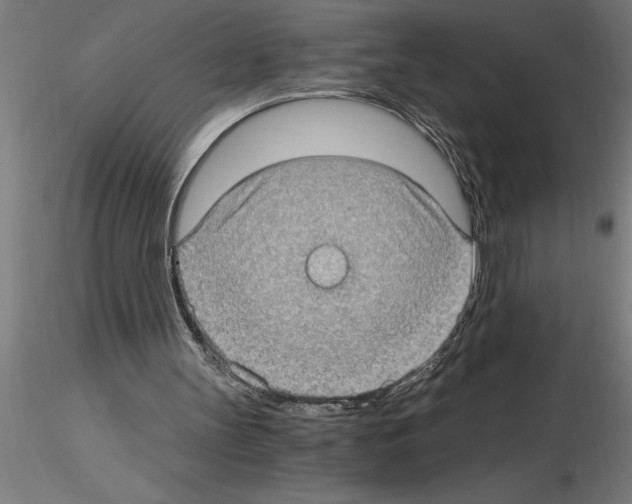 X0000115280147200912111234