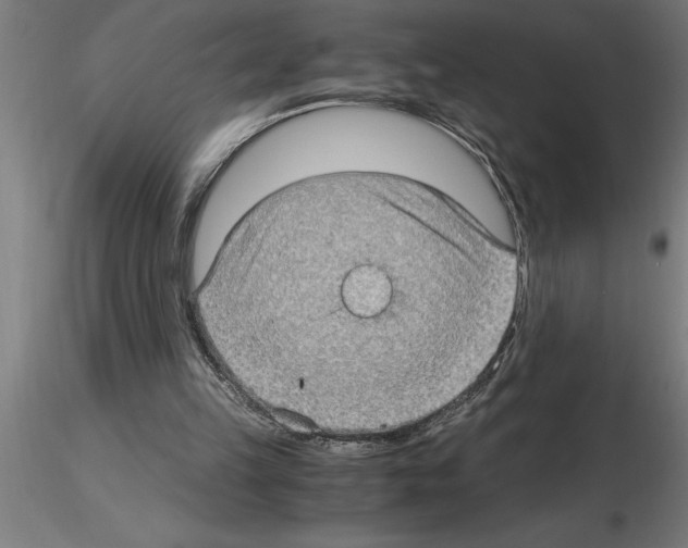 X0000115280149200912111234