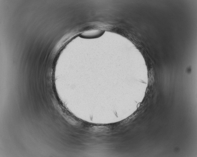 X0000115280150200912111234