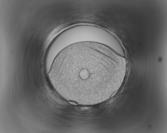 X0000115280151200912111234