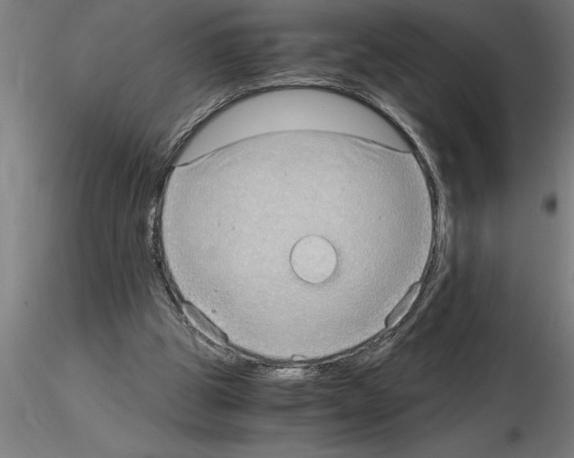 X0000115280153200912111234