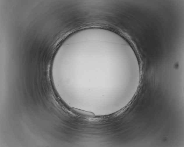 X0000115280154200912111234