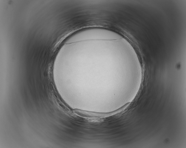 X0000115280155200912111234