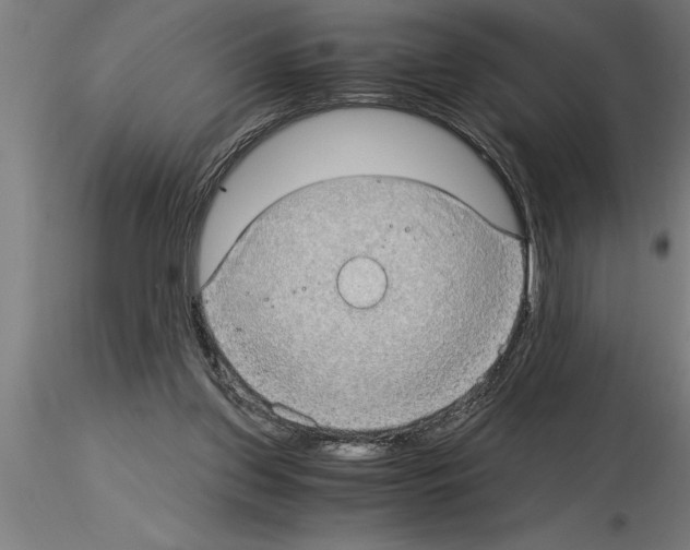 X0000115280157200912111234