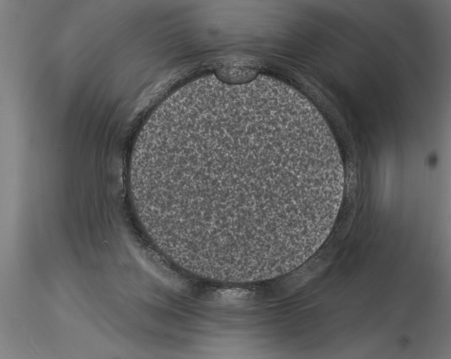 X0000115280158200912111234