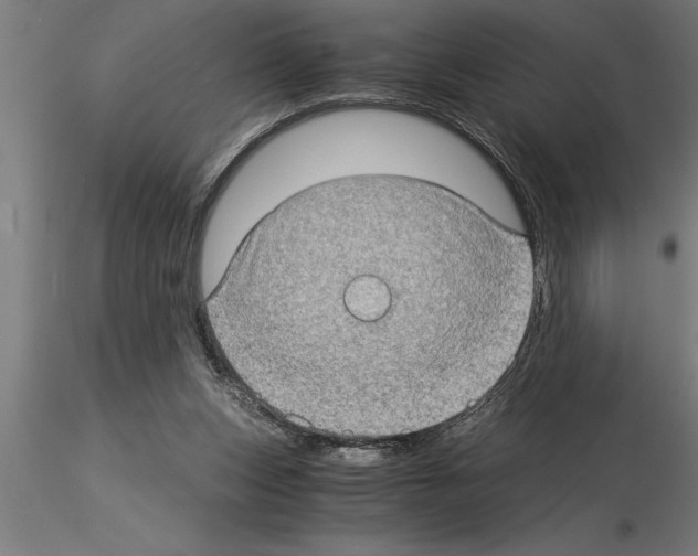 X0000115280159200912111234