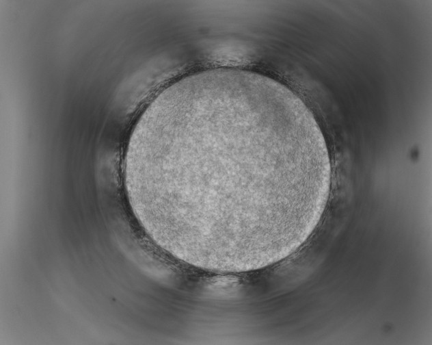 X0000115280162200912111234