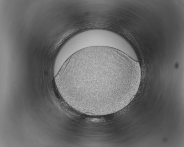 X0000115280163200912111234