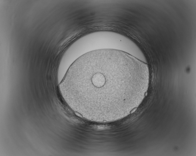 X0000115280165200912111234