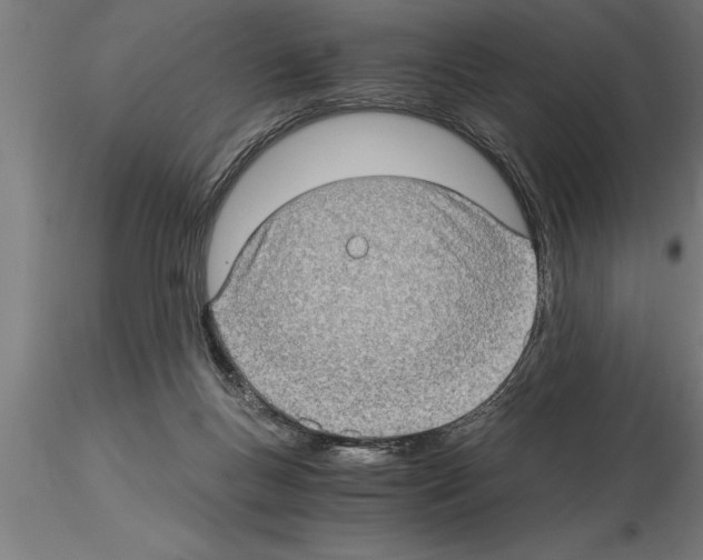 X0000115280167200912111234