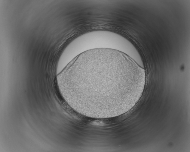 X0000115280171200912111234