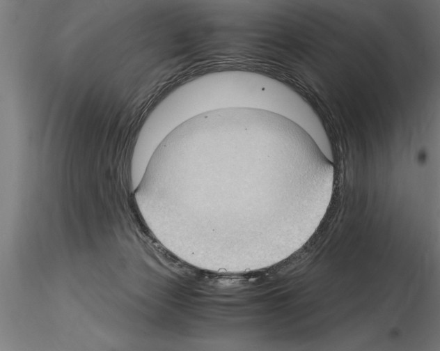 X0000115280173200912111234