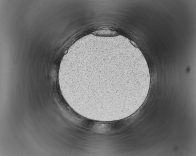 X0000115280174200912111234