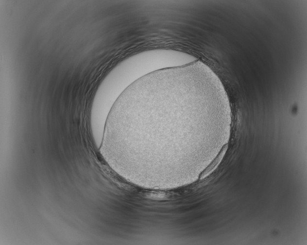 X0000115280177200912111234