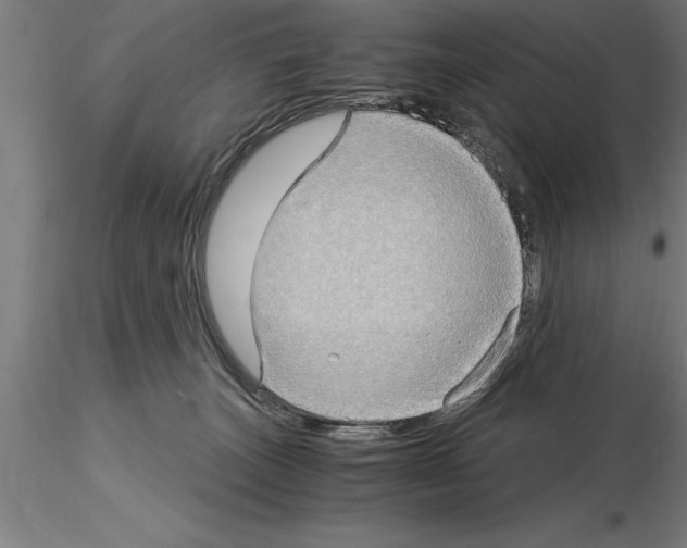 X0000115280179200912111234