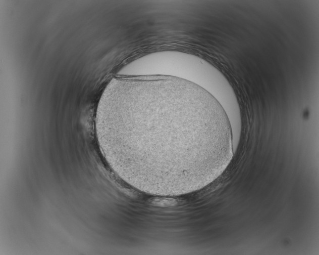 X0000115280181200912111234