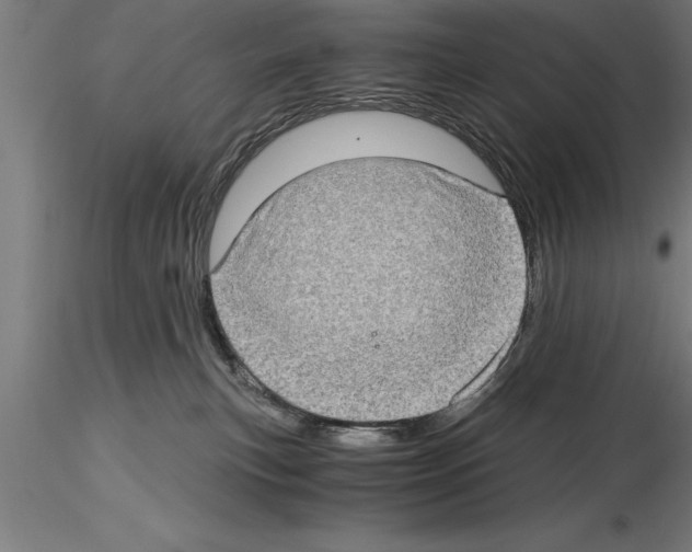 X0000115280183200912111234