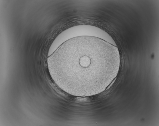 X0000115280185200912111234