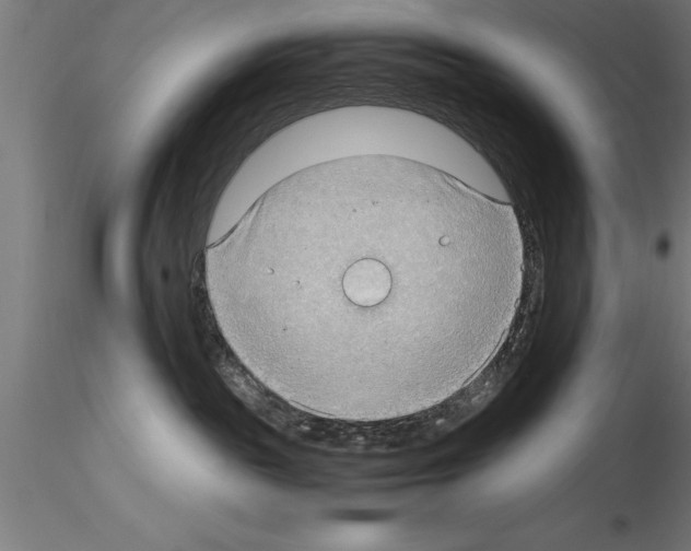 X0000115280189200912111234