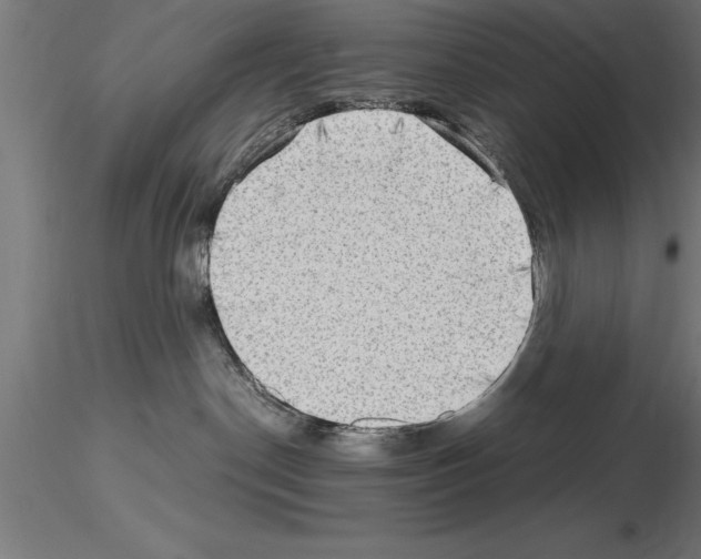 X0000115280190200912111234