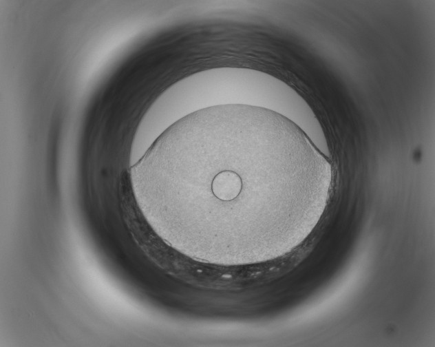 X0000115280191200912111234