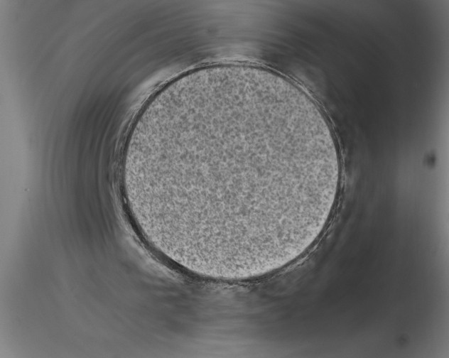 X0000115280193200912111234