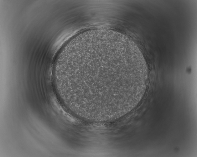 X0000115280194200912111234