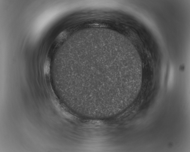 X0000115280195200912111234