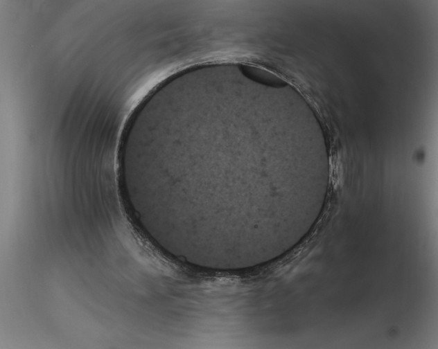 X0000115280196200912111234