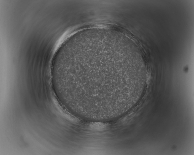 X0000115280198200912111234