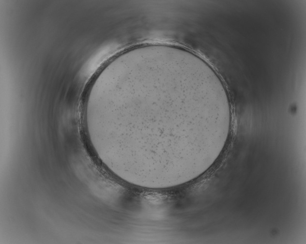 X0000115280199200912111234