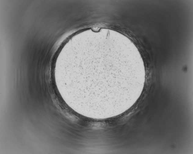 X0000115280200200912111234